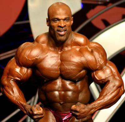 muscle